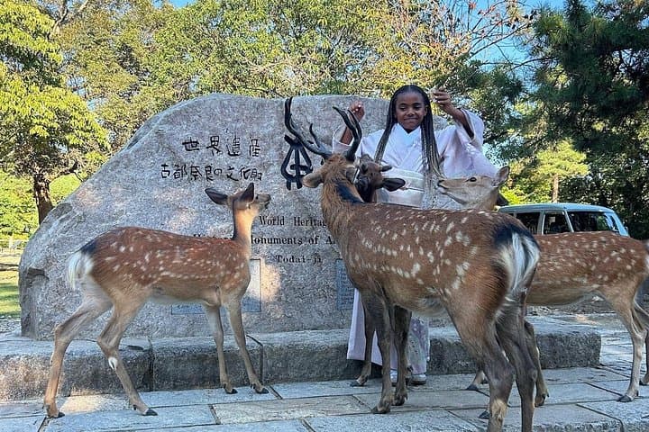 Osaka and Nara Private Car Tour — Full-Day English-Guided Cultural Highlights photo 3
