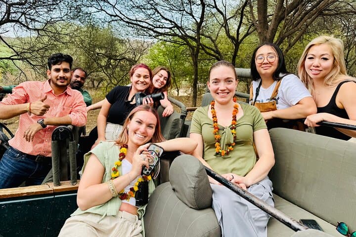Jaipur to Ranthambore Day Safari — See Bengal Tigers on a Shared Safari photo 2