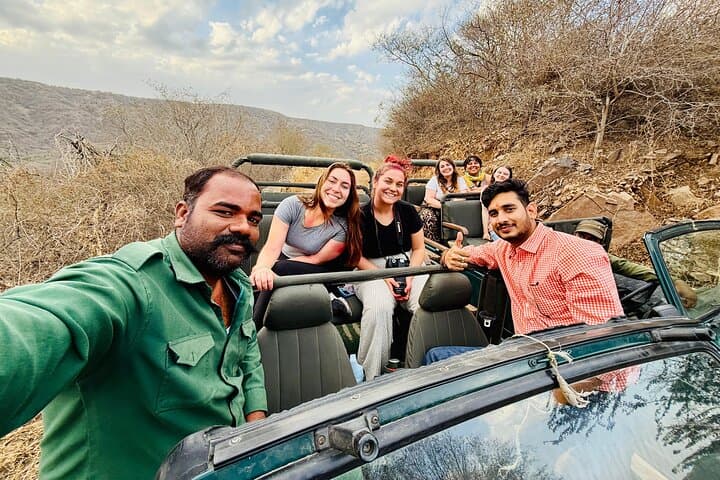Jaipur to Ranthambore Day Safari — See Bengal Tigers on a Shared Safari photo 3
