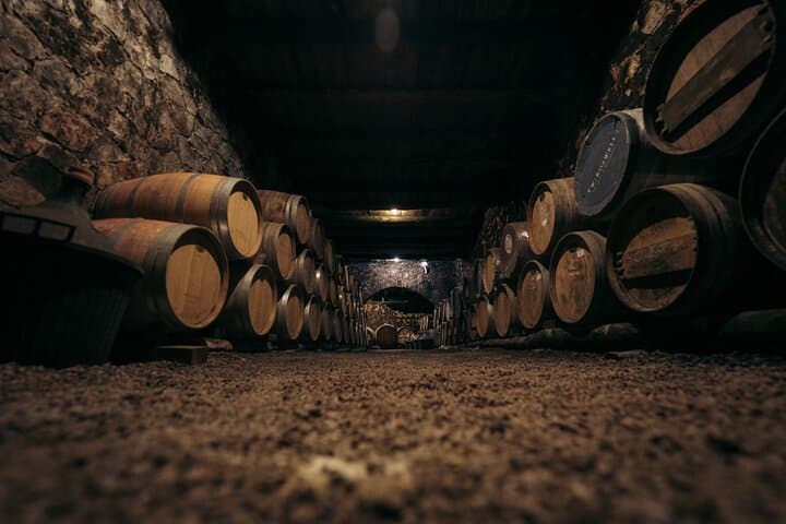 Chania Olive Oil & Dourakis Winery Tour — Rethymno Tasting and Village Visit photo 3