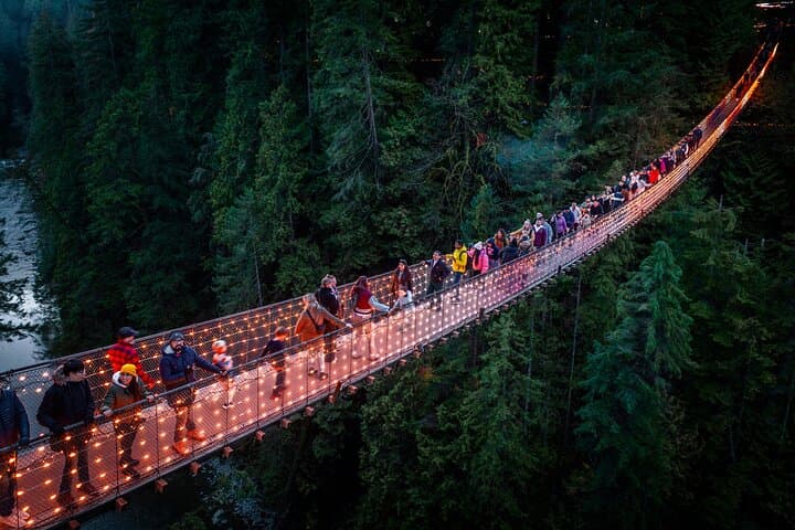 Vancouver After Dark: Capilano Canyon Fright Lights, Salmon Run and Skyline Lookouts photo 4