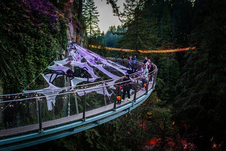 Vancouver After Dark: Capilano Canyon Fright Lights, Salmon Run and Skyline Lookouts photo 3