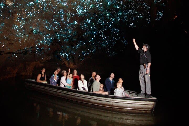 Hobbiton, Waitomo Caves & Kiwi House Day Trip from Auckland — Glowworms, Kiwi Encounters and Movie-Set Tours photo 5