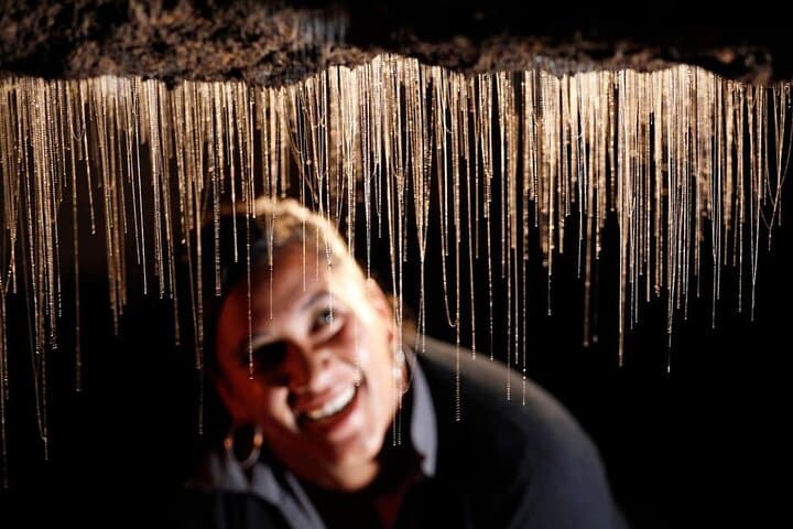 Hobbiton, Waitomo Caves & Kiwi House Day Trip from Auckland — Glowworms, Kiwi Encounters and Movie-Set Tours photo 6