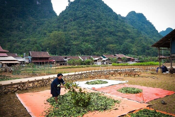 Cao Bang 3-Day Car Tour: Ban Gioc Waterfall, Pac Bo, and Vinh Quy Grass Hill photo 4