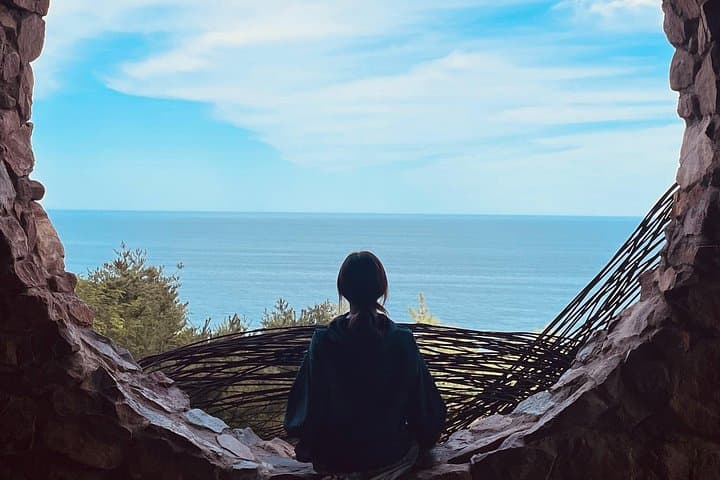 Gangneung Day Trip from Seoul: Haslla Art World & Jeongdong Coastal Trail