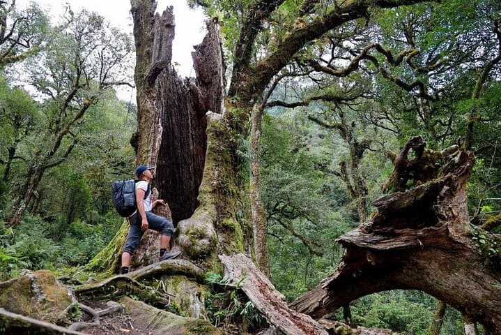Ta Lien Son 2-Day Trek: Summit Vietnam’s 6th-Highest Peak from Sapa photo 6