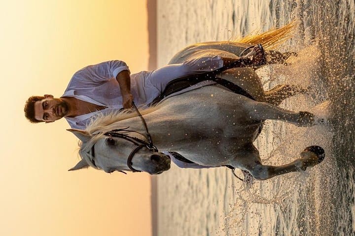 Coastal Horseback Ride in Nabq Bay: 2-Hour Beach & Desert Ride, Sharm El-Sheikh photo 4