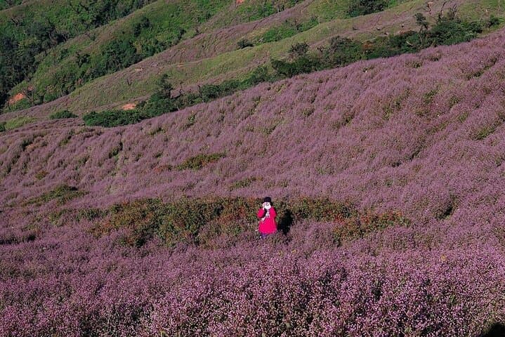 Ta Chi Nhu Cloud Hunt: 2-Day Summit Trek from Hanoi photo 6