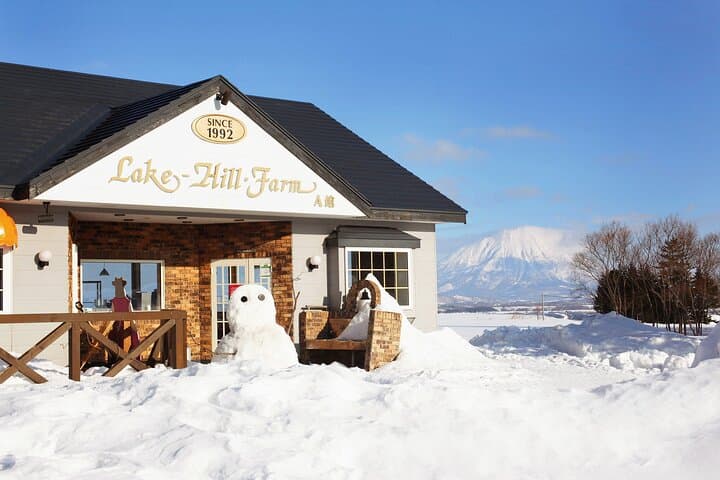 Private Day Trip from Sapporo to Lake Toya, Mount Usu & Noboribetsu Hell Valley photo 5