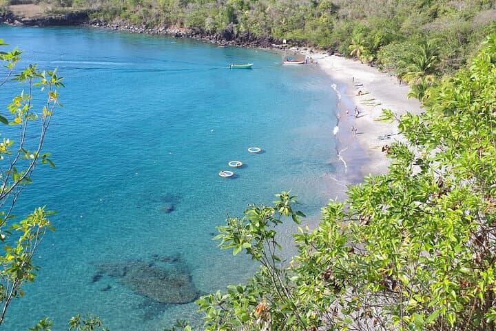 Private Land-and-Sea Speed Boat Tour to Soufriere: High-Speed Snorkel & Pitons Visit photo 6