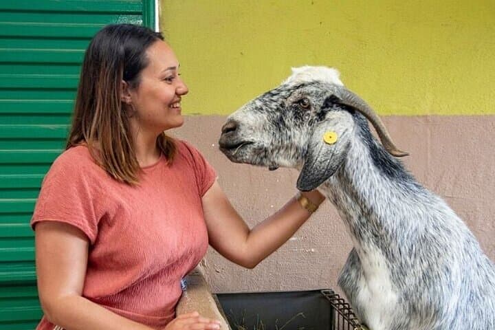 Farmer for a Day in Gran Canaria: Hands-On Farm Visit with Local Tasting photo 2