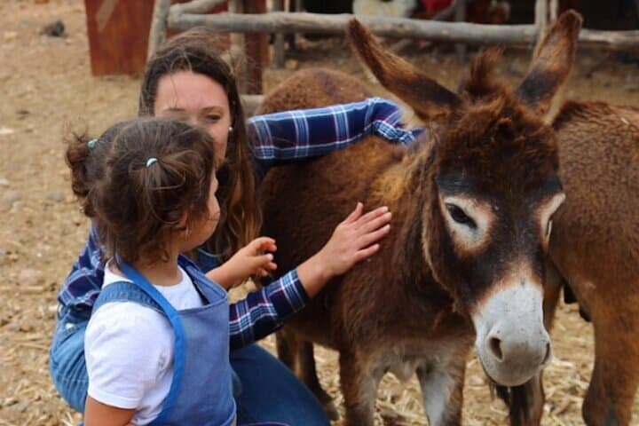 Farmer for a Day in Gran Canaria: Hands-On Farm Visit with Local Tasting photo 5