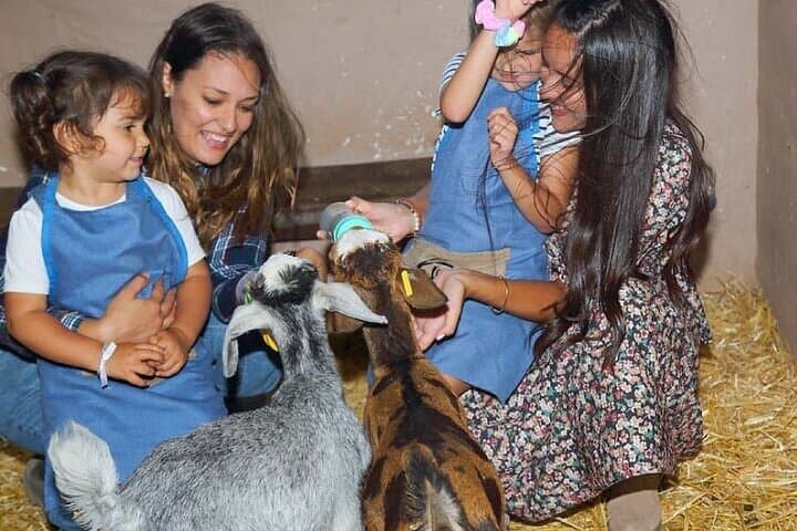 Farmer for a Day in Gran Canaria: Hands-On Farm Visit with Local Tasting photo 6