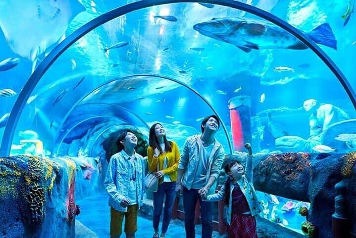 Istanbul Aquarium: 80-Meter Underwater Tunnel & Comfortable Hotel Transfers photo 2