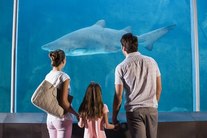 Istanbul Aquarium Admission with Hotel Transfers — Skip-the-Line Akvaryum Visit