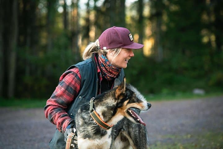 Husky Cuddle Experience at Fjälläventyr Dog Park — Åre Huskies & Kennel Visit photo 4