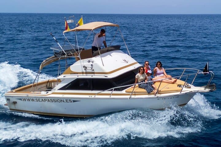 Whale and Dolphin Watching Tour to Los Gigantes and Masca, Tenerife