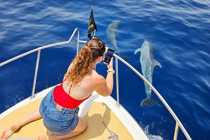 Tenerife Whale Watching and Snorkel Safari in the Whale Sanctuary photo 3