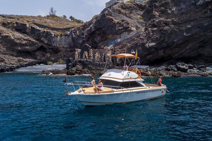 Tenerife Whale Watching and Snorkel Safari in the Whale Sanctuary photo 1