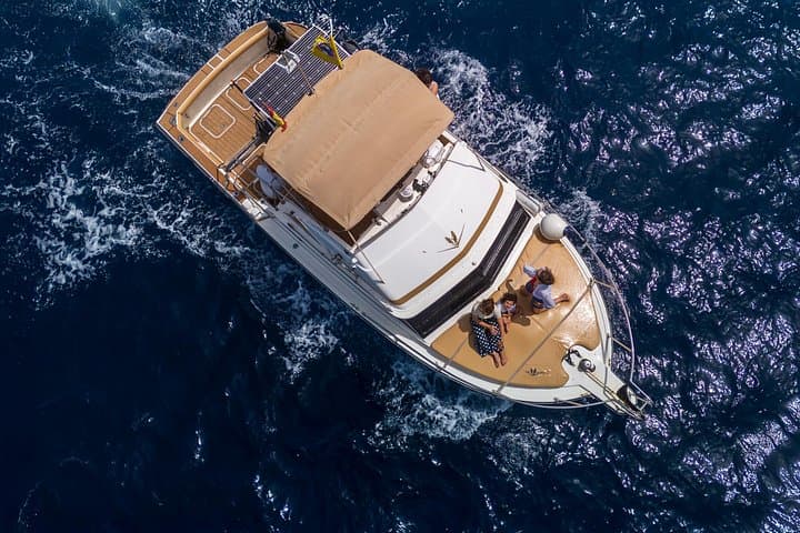 Whale and Dolphin Watching Tour to Los Gigantes and Masca, Tenerife photo 6