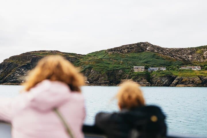 Howth to Ireland's Eye: A 45-Minute Coastal Wildlife Boat Tour photo 3