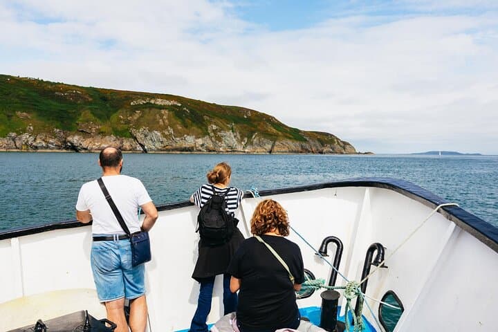 Howth Cliffs and Ireland's Eye Ferry: Puffins, Seals & Dublin Bay Views