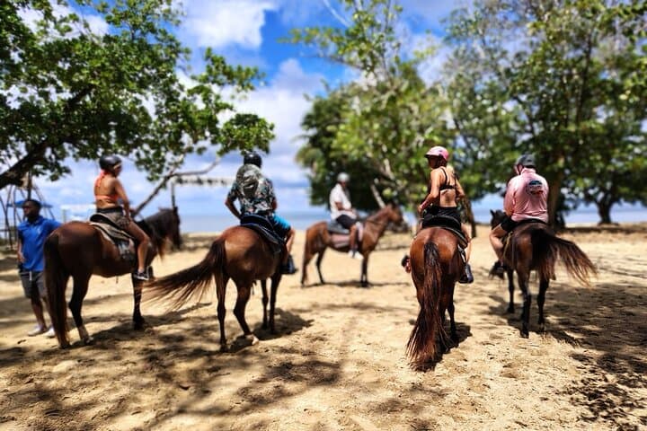 Roatán Jungle Horseback Riding and Luna Beach Escape photo 6