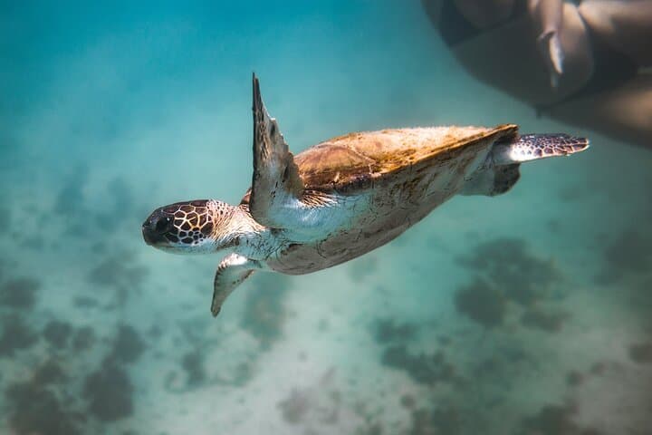 Day Trip Scuba Diving from Rio to Arraial do Cabo — All-Inclusive Experience photo 5