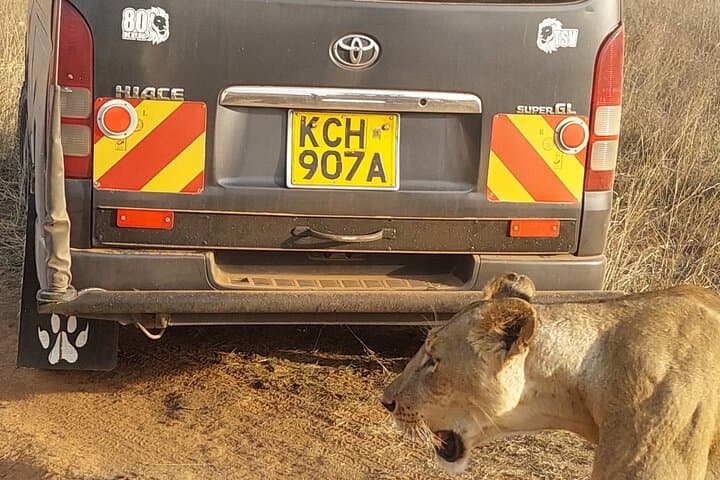 Exploring Nairobi National Park, Elephant Orphanage & Giraffe Centre: A Day of Wildlife and Conservation photo 2