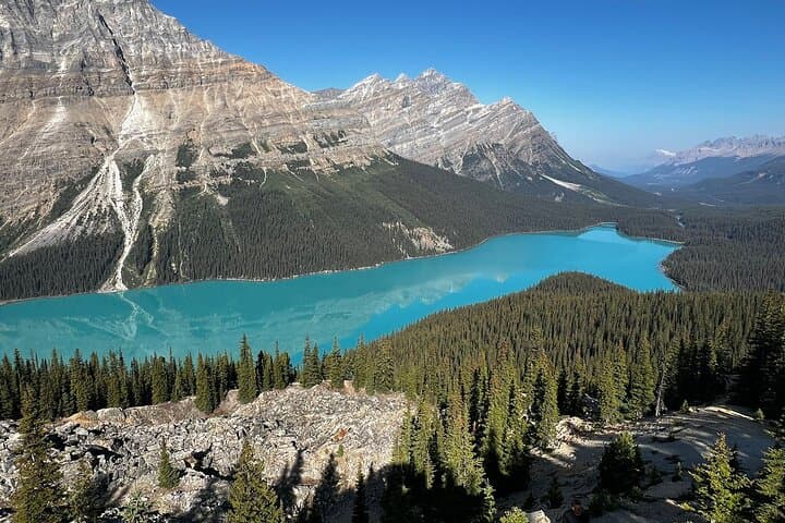 Icefields Parkway Highlights: Lake Louise, Peyto & Johnston Canyon Day Tour photo 2