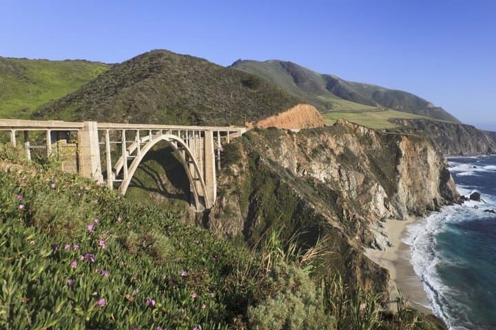 Monterey to Big Sur Private Tour — 17-Mile Drive, Point Lobos & Bixby Bridge photo 5