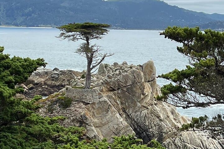 Monterey to Big Sur Private Tour — 17-Mile Drive, Point Lobos & Bixby Bridge photo 3