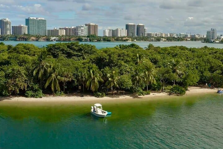 Half-Day Miami Biscayne Bay Charter: Mansions, Sandbar & Raccoon Island photo 3