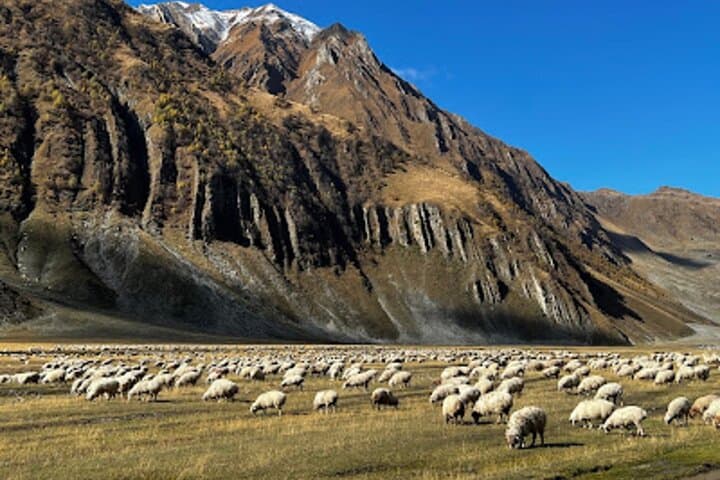Truso Valley Trek from Kazbegi: Café Truso Short Hike & Scenic Drive photo 4