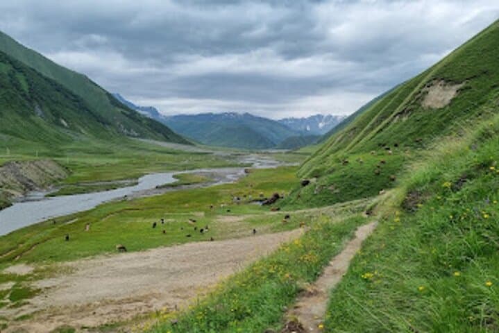Truso Valley Trek from Kazbegi: Café Truso Short Hike & Scenic Drive photo 5
