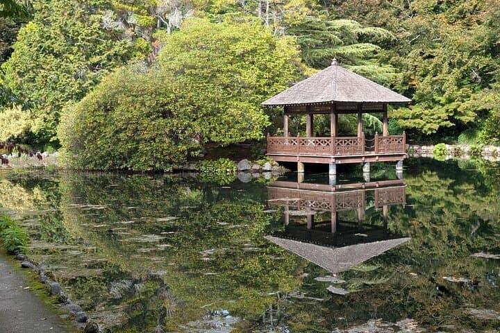 Secret Gardens of Victoria: Private Local Garden Tour with Afternoon High Tea photo 2