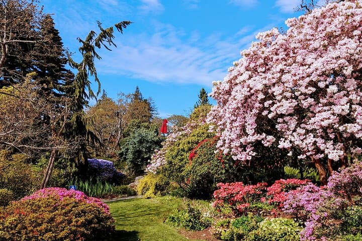 Secret Gardens of Victoria: Private Local Garden Tour with Afternoon High Tea photo 3