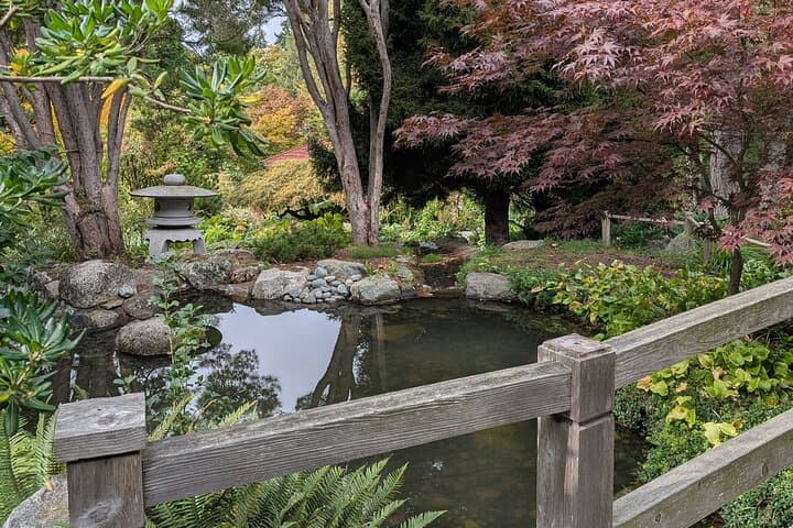 Secret Gardens of Victoria: Private Local Garden Tour with Afternoon High Tea photo 6