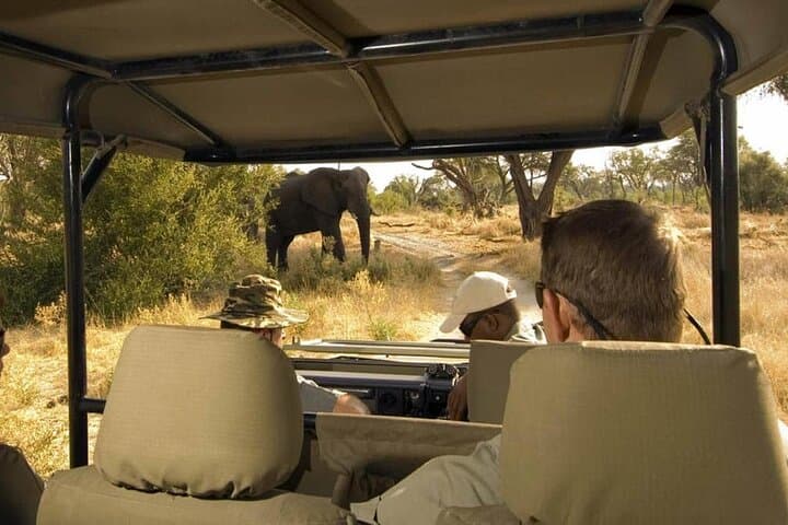Moremi Game Reserve Full-Day Safari from Maun — Guided Game Drive & Bush Breakfast photo 2