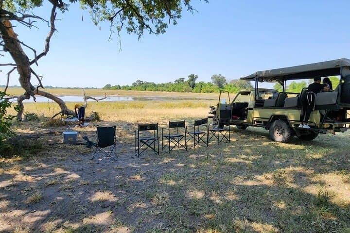 Moremi Game Reserve Full-Day Safari from Maun — Guided Game Drive & Bush Breakfast photo 3