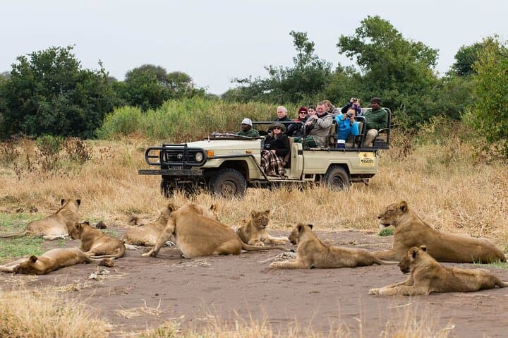 Moremi Game Reserve Full-Day Safari from Maun — Guided Game Drive & Bush Breakfast photo 5