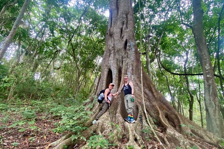 Biologist-Led Jungle Hike at Natikari Reserve — Sayulita Guided Ecology Trek photo 5