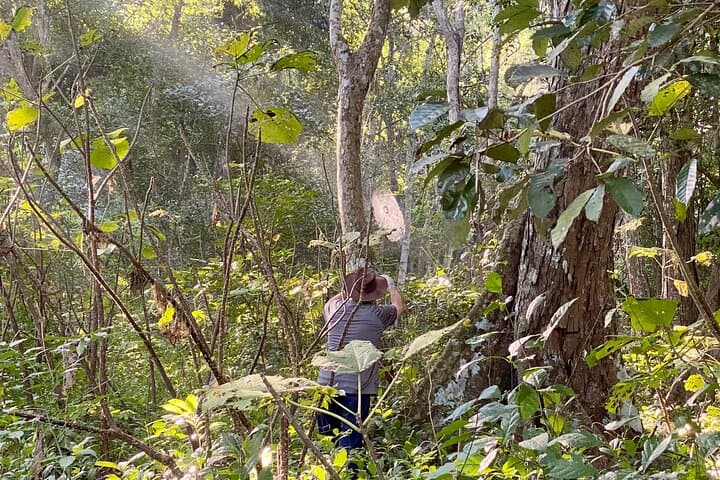 Biologist-Led Jungle Hike at Natikari Reserve — Sayulita Guided Ecology Trek photo 6