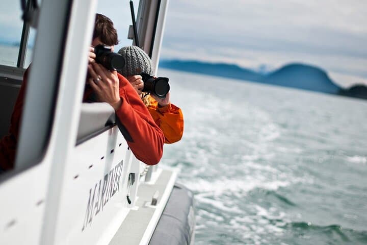 Juneau Whales and Wilderness Exploration — Whale-Watching Cruise with Glacier Views photo 1