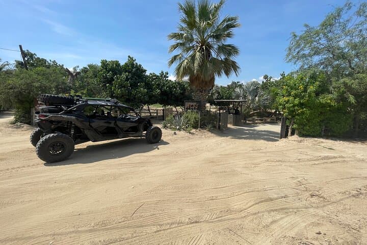 Private Cabo Buggy Rides: Can-Am Maverick X3 Turbo RR Coastal Tour