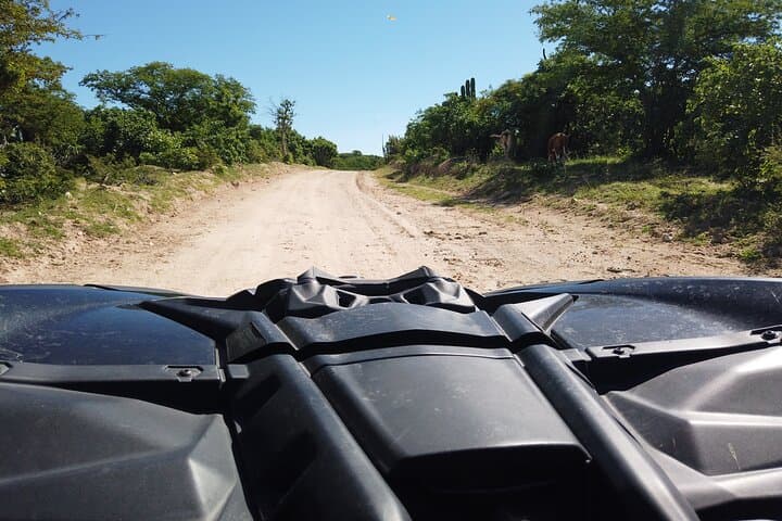 Private Cabo Buggy Rides: Can-Am Maverick X3 Turbo RR Coastal Tour photo 6