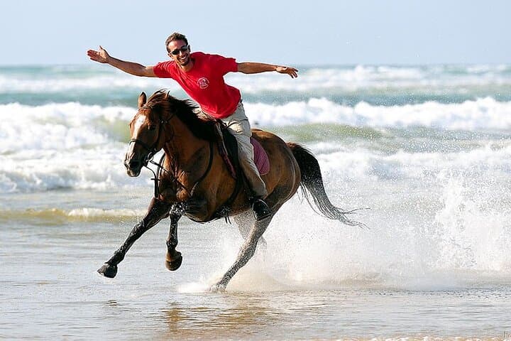 Coastal Horseback Ride from Sand Dunes to Tifnit Beach — 3-Hour Adventure