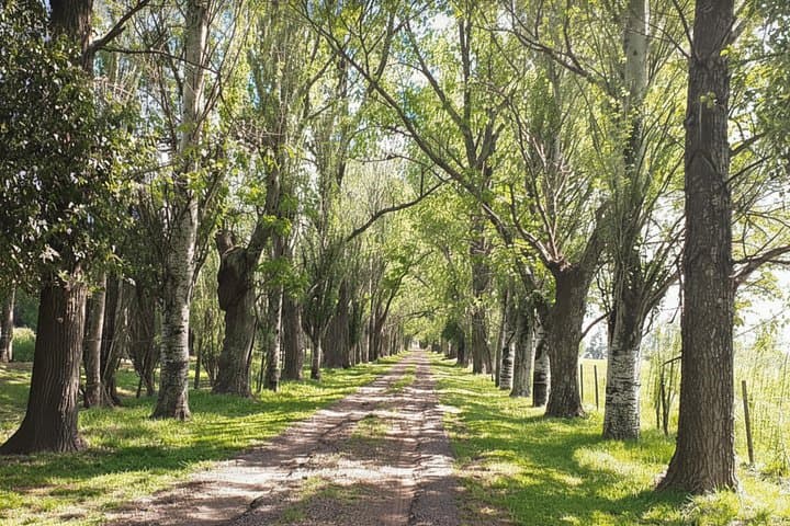 Estancia Chica Gaucho Day: Tango, Horseback Riding & Unlimited Asado photo 2