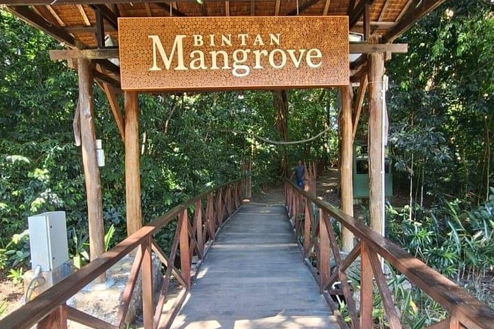 Bintan Mangrove and Fireflies Tour — Day Mangrove Cruise & Night Firefly River Experience photo 4